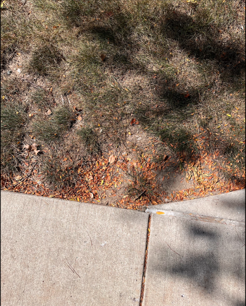 Campus Mysteries: Stone marker goes missing