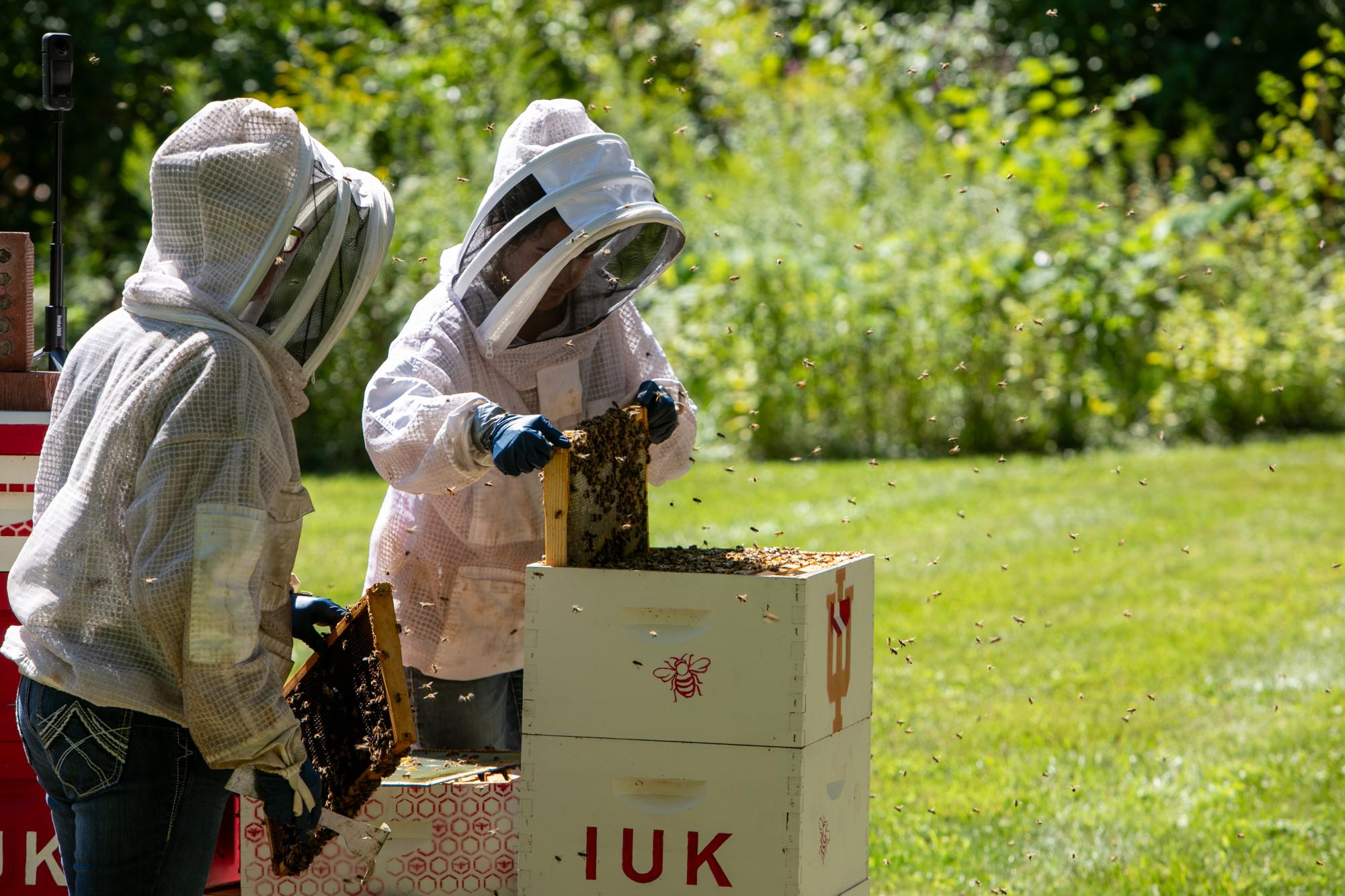 Local beekeeper shares her insight