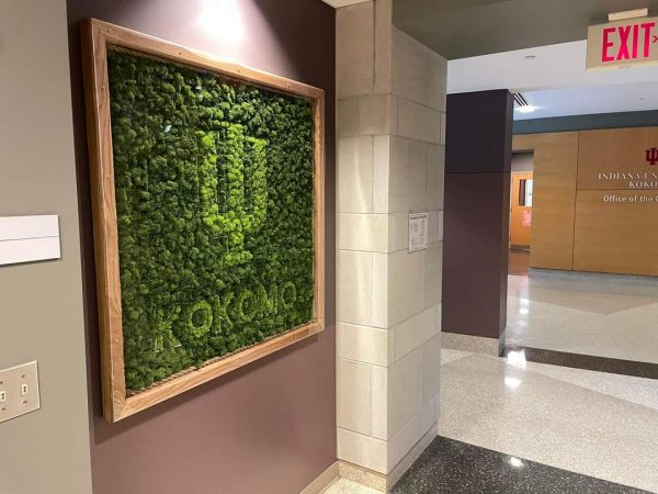 Moss art installation at the top of the stairs in Hunt Hall outside the chancellor's office.