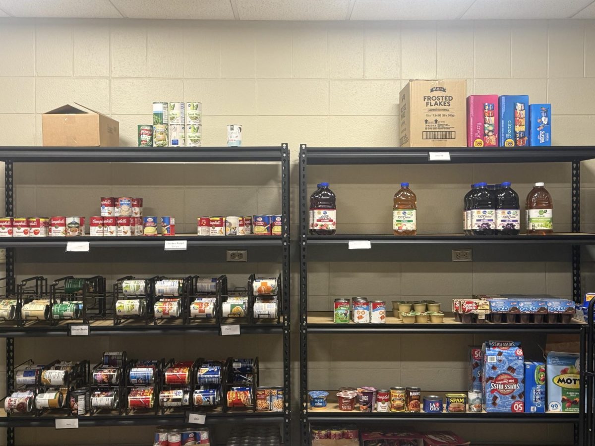 Inside the Cougar Cupboard